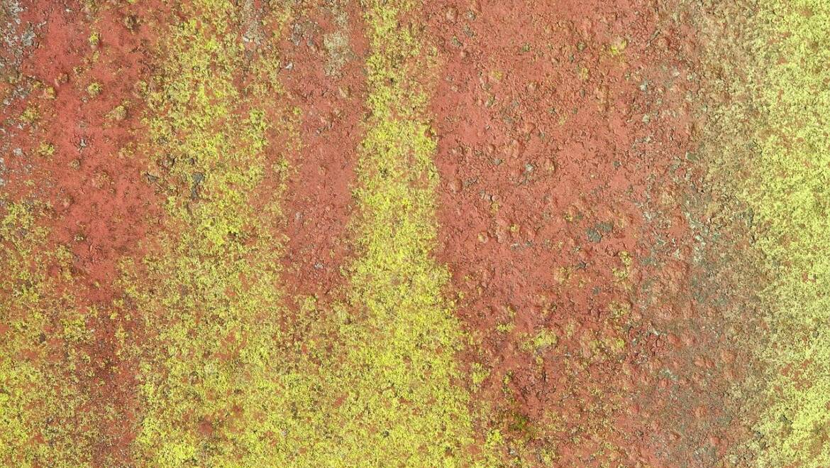 Il Priming e le tecniche di adescamento del cervello